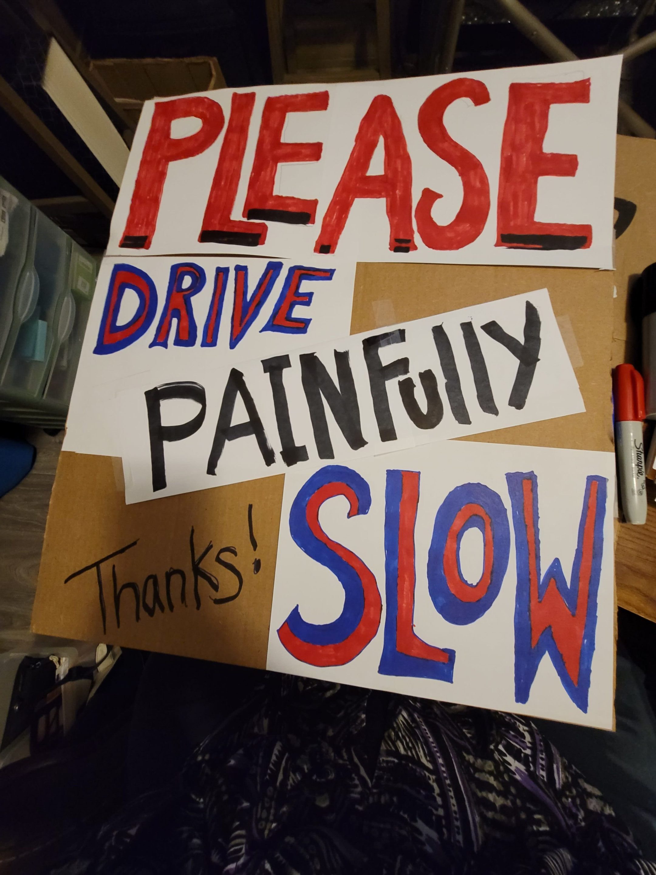 A sign that says " please drive painfully slow ".