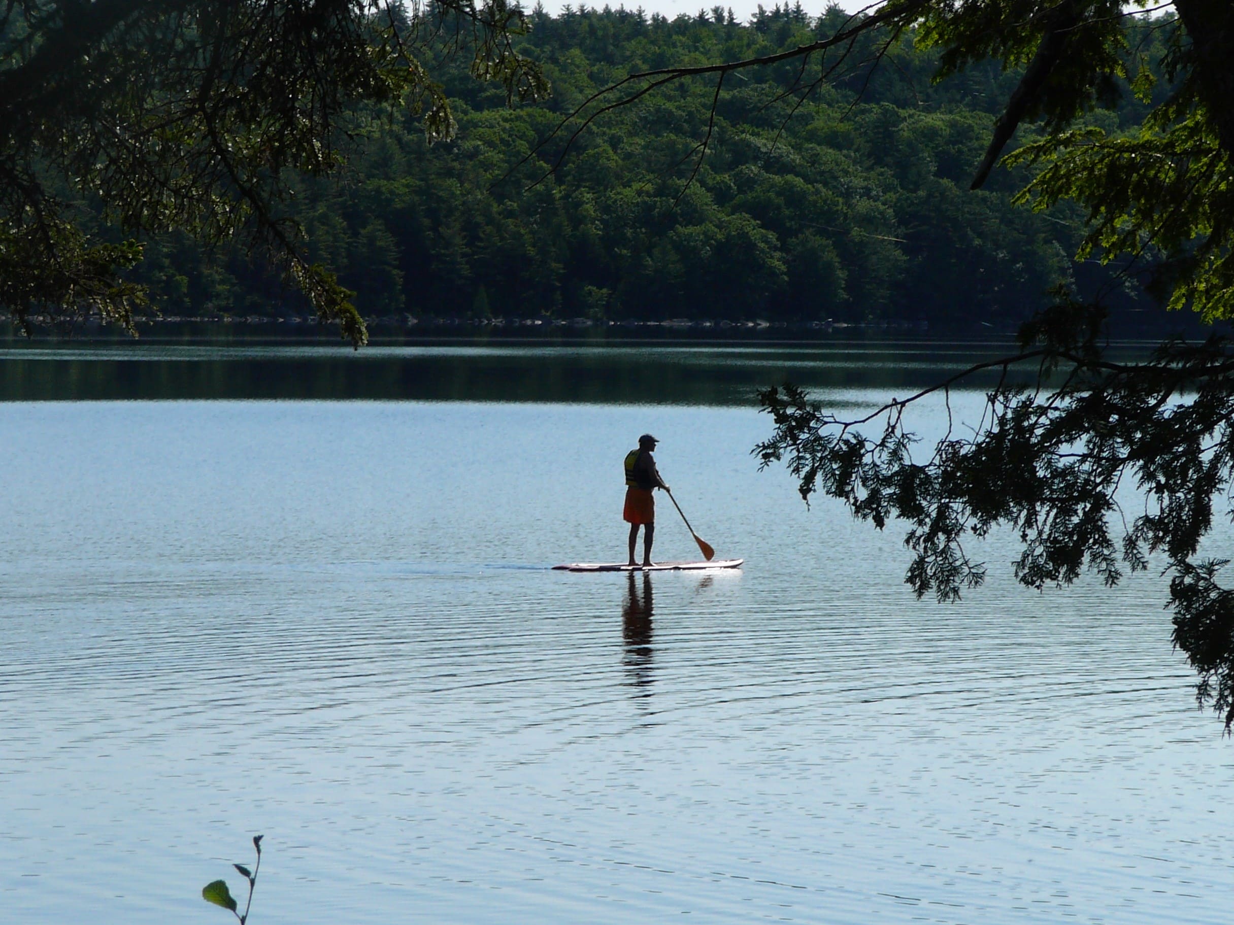 A person on a paddle board in the water.