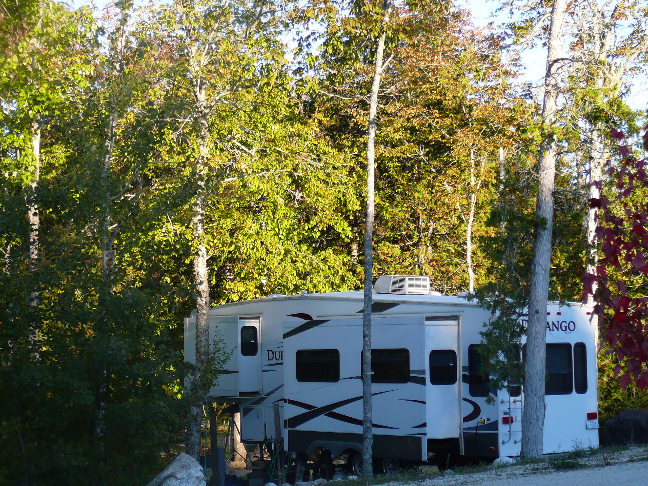 A white rv parked in the woods near trees.
