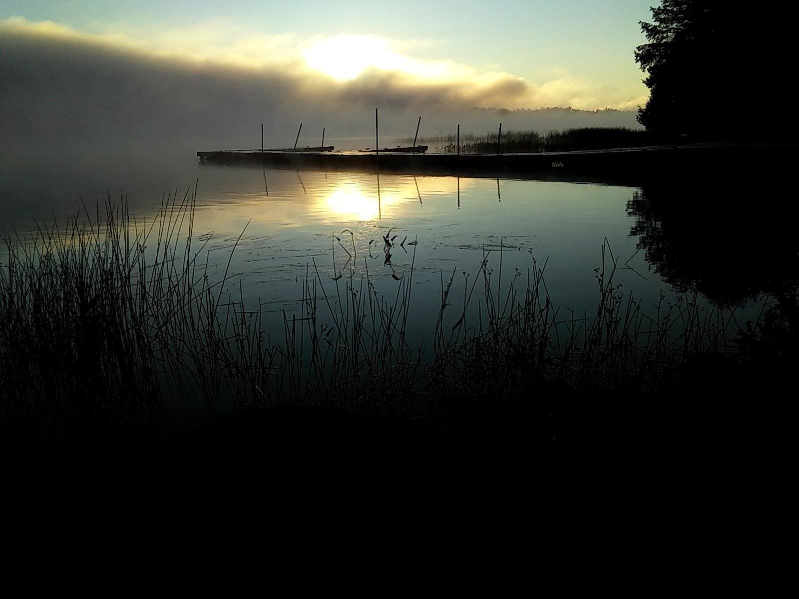 A body of water with trees and boats in the background.