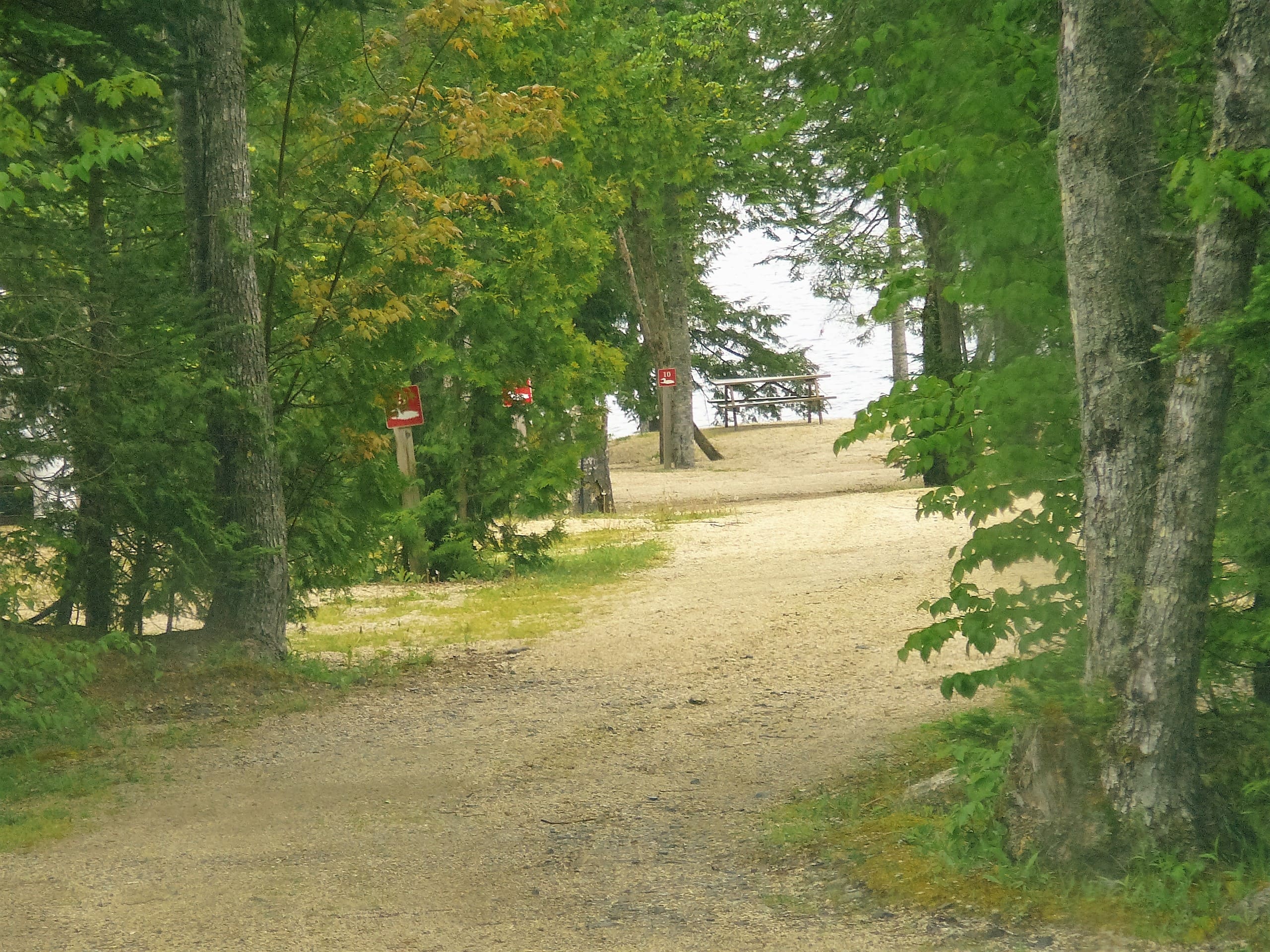 A dirt road with trees and bushes in the background.