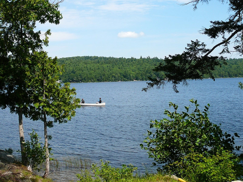 People canoeing on a lake, surrounded by trees.