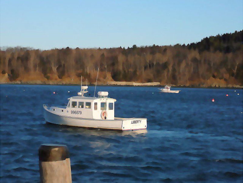 New Project (11) A white boat is in the water near some trees