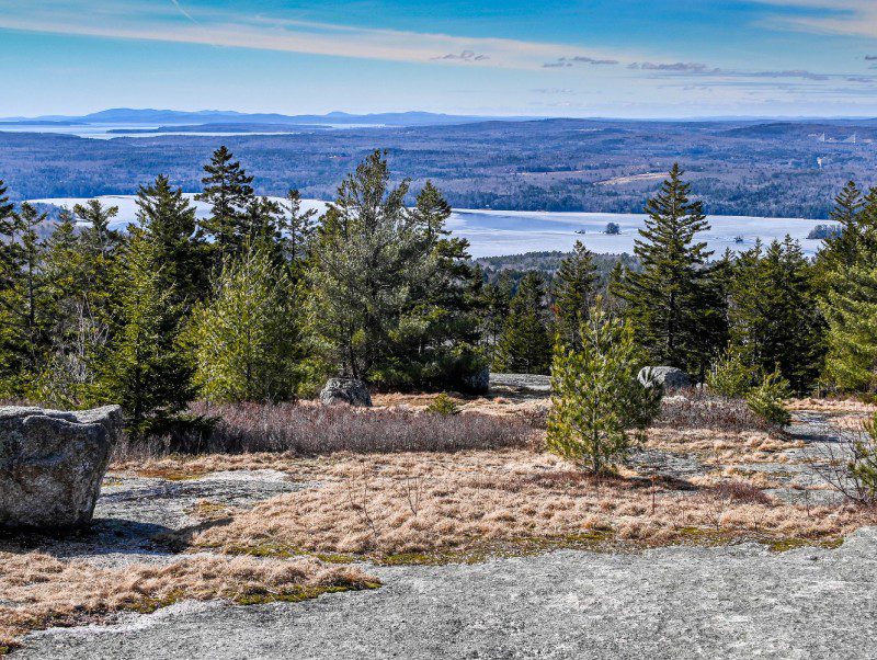 New Project (6) A view of trees and water from the top of a hill.