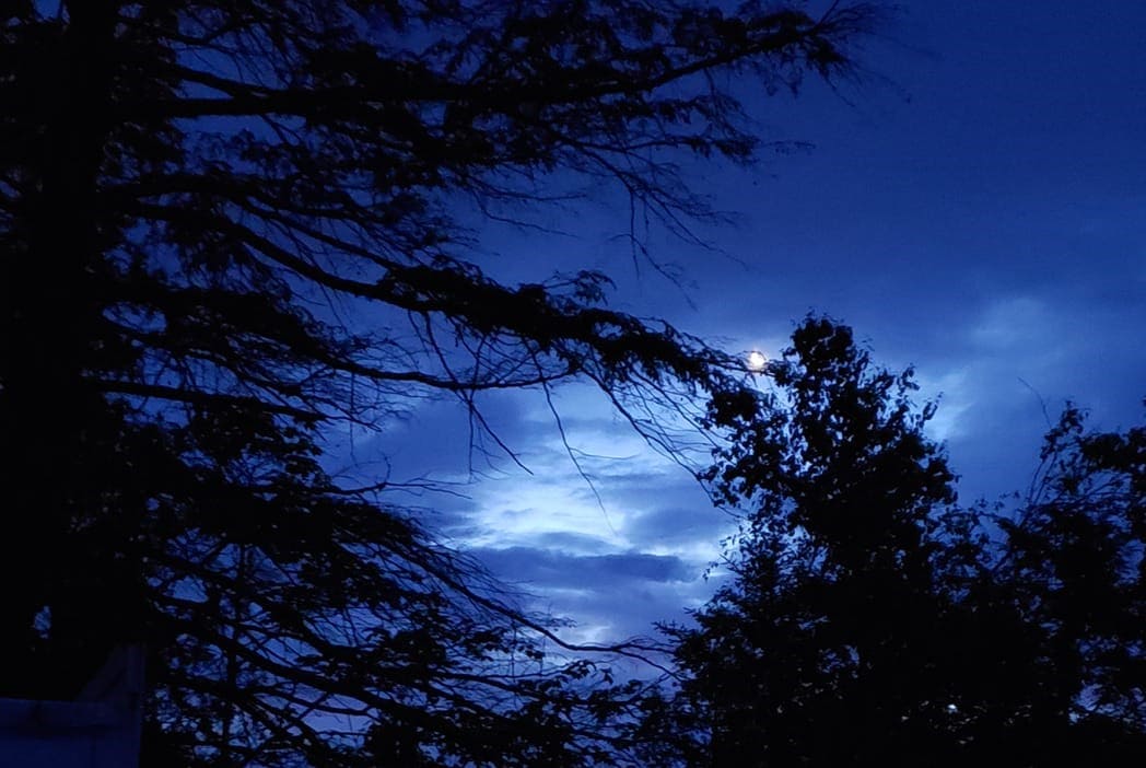 A blue sky with clouds and trees in the foreground.