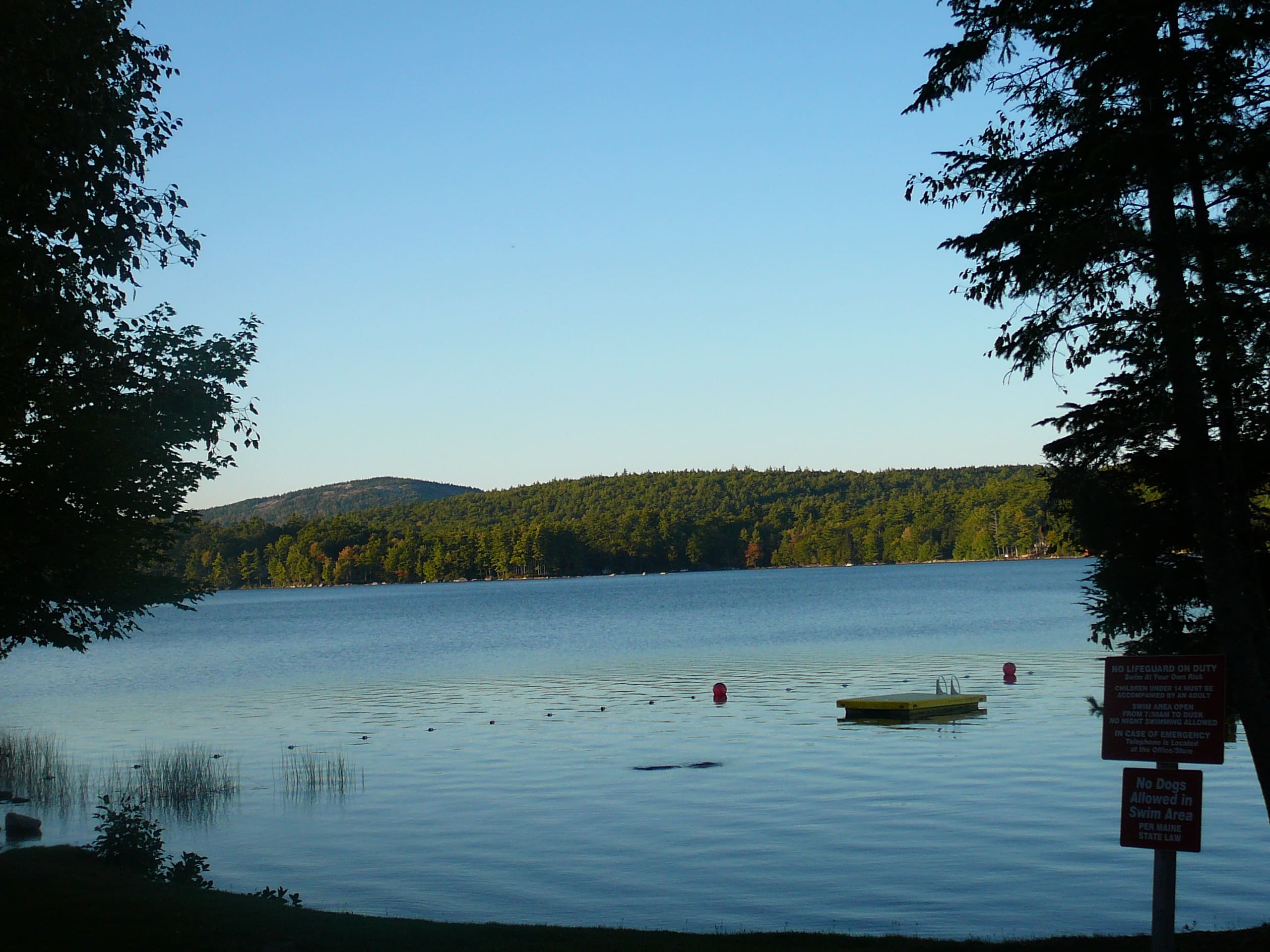 A boat floating on top of a lake near trees.